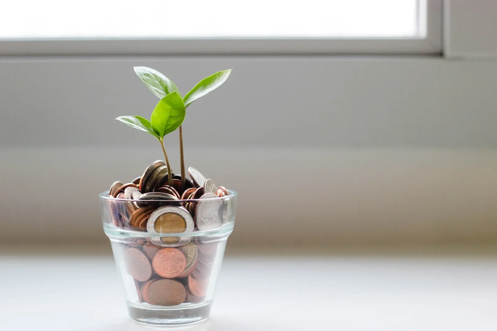 Unlock Your Potential with These Strategies for Sales Growth